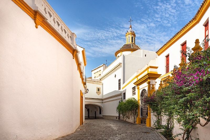 Quartier de Santa Cruz à Séville - Andalousie - Espagne
