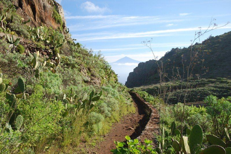 Tenerife et la Gomera