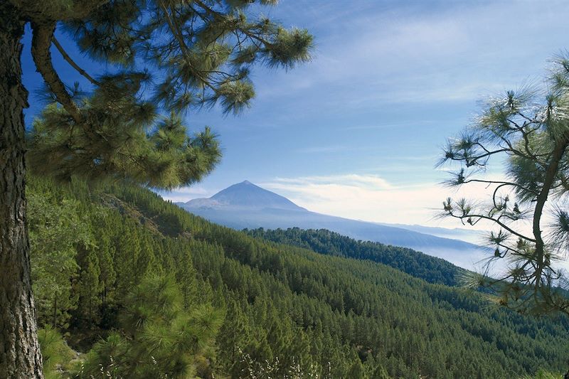 Tenerife et la Gomera