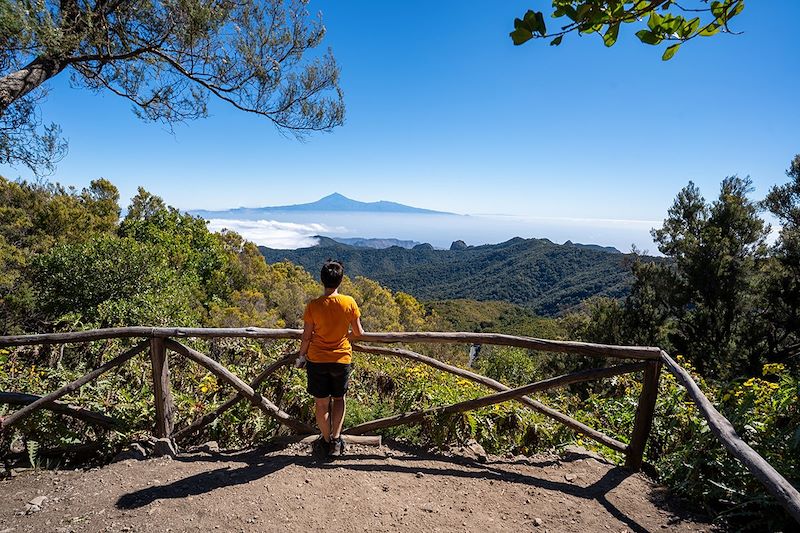 Tenerife et la Gomera