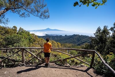 voyage Tenerife et la Gomera