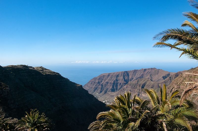 Tenerife et la Gomera