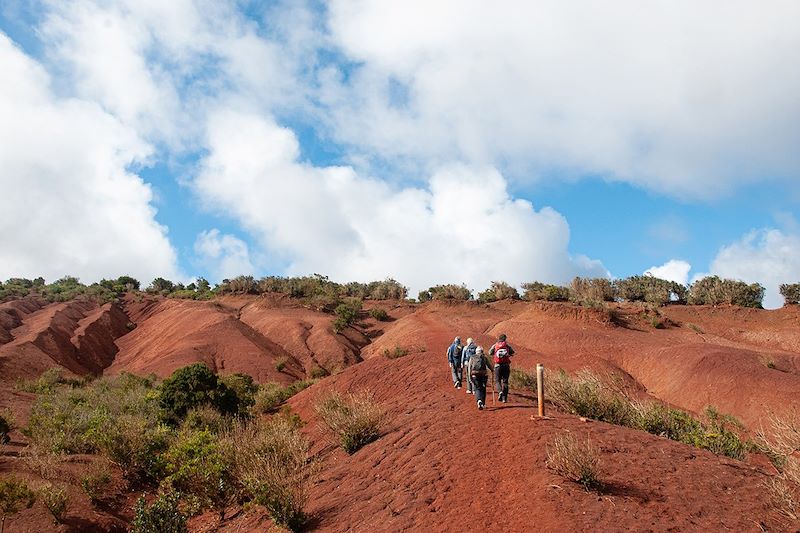 Tenerife et la Gomera