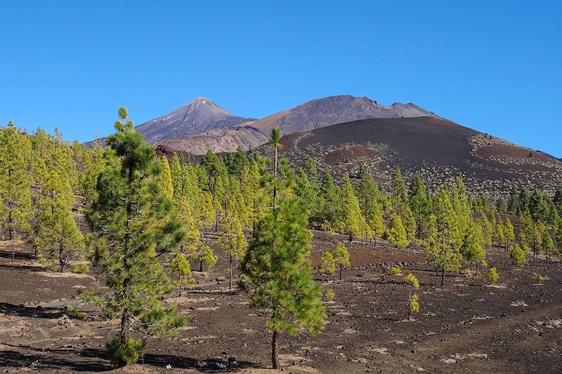 Teide - Tenerife - Canaries - Espagne