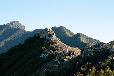 Tenerife et la Gomera 2