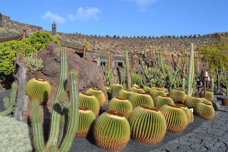 Ça roule à Lanzarote !