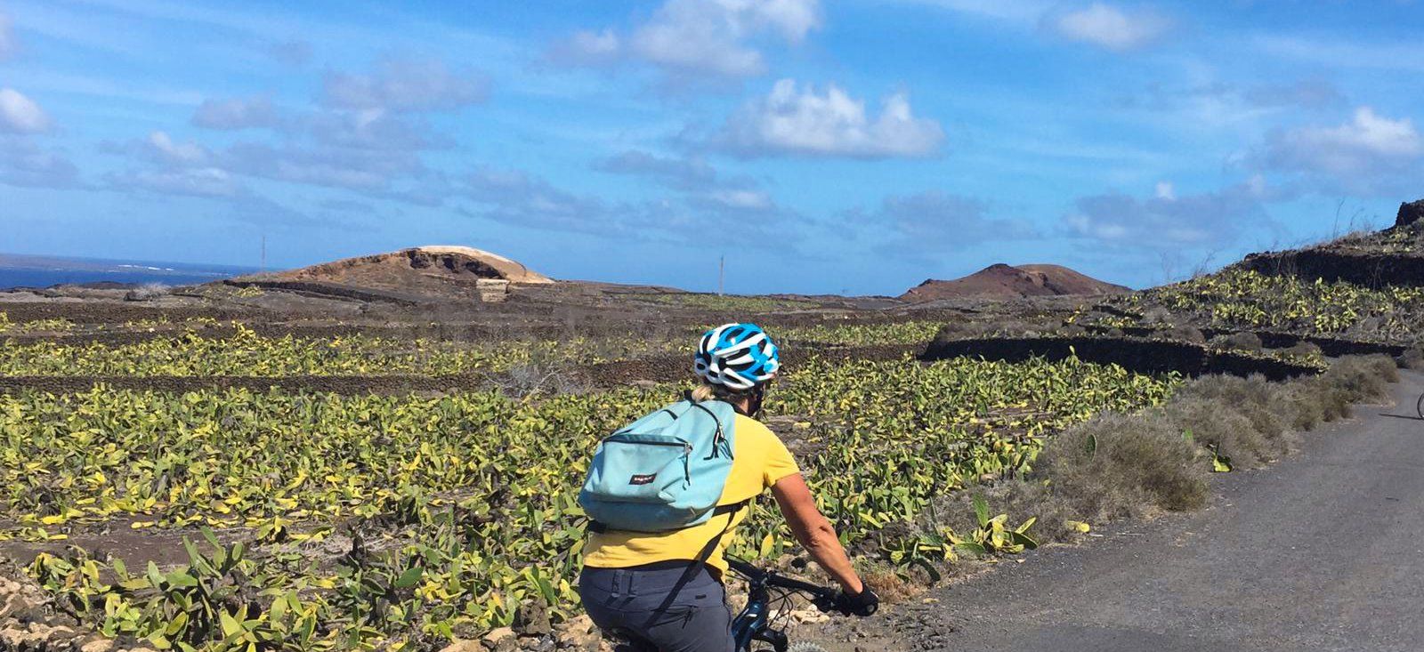 Image Ça roule à Lanzarote !