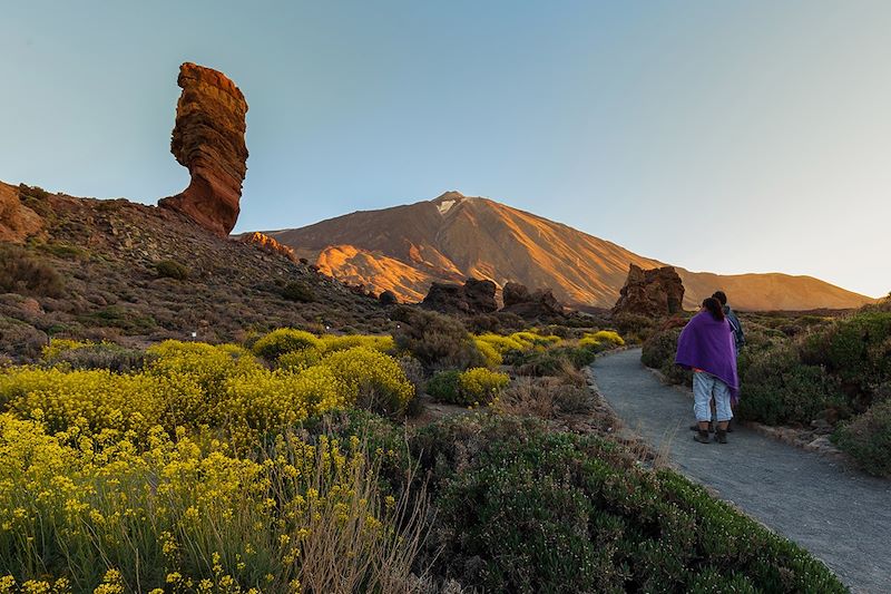 Los Roques de Garcia vue sur le Teide - Tenerife - Canaries - Espagne