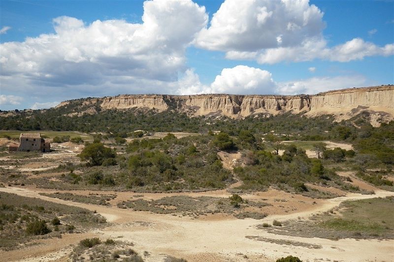 Découverte du désert des Bardenas Reales