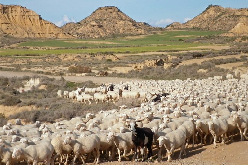 Découverte du désert des Bardenas Reales