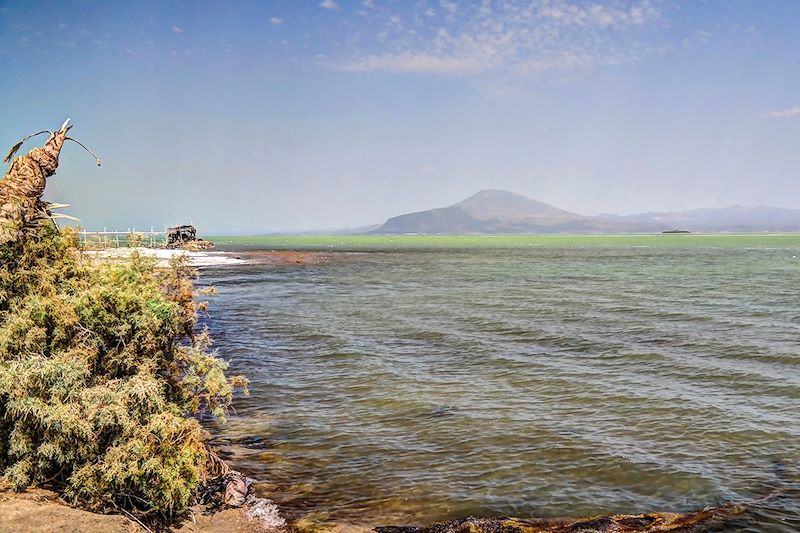 Lac Afdera - Afar - Ethiopie