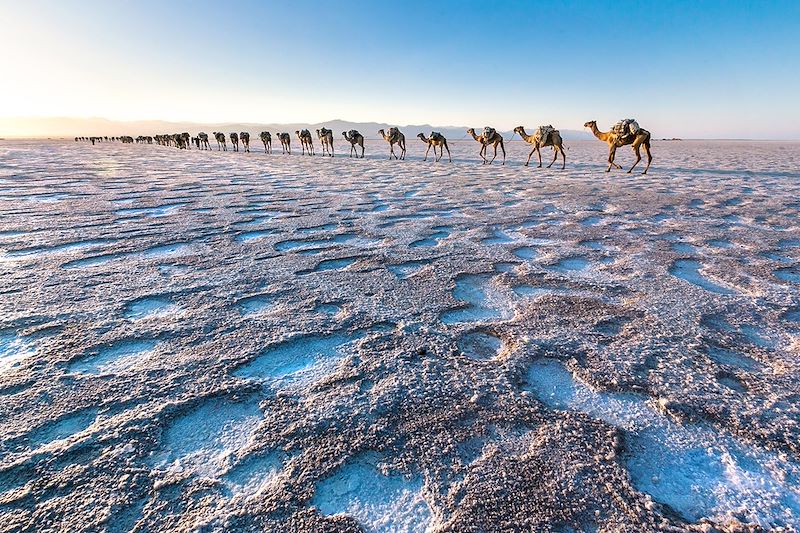 Désert de sel du Danakil - Éthiopie