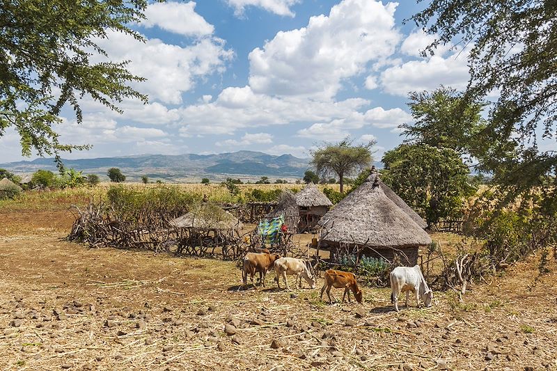 Ferme dans la vallée de l'Omo près de Konso - Éthiopie