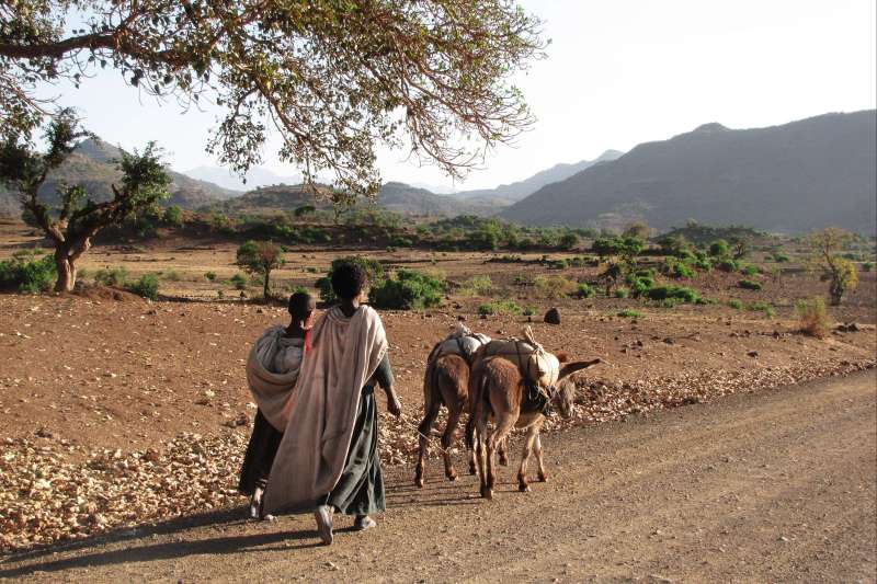 Route entre Lalibela et Mekele - Ethiopie