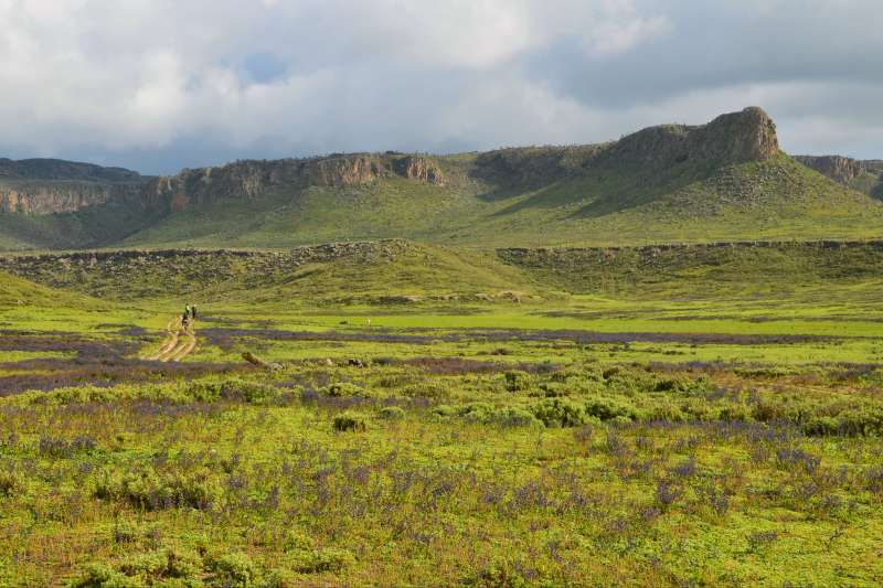Parc National de Balé - Éthiopie