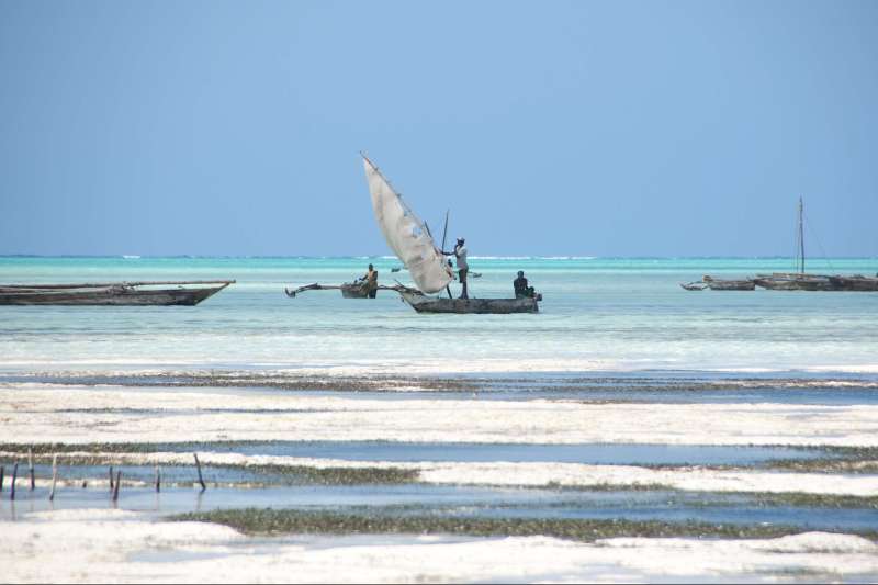 Aventure de Lalibela à Zanzibar