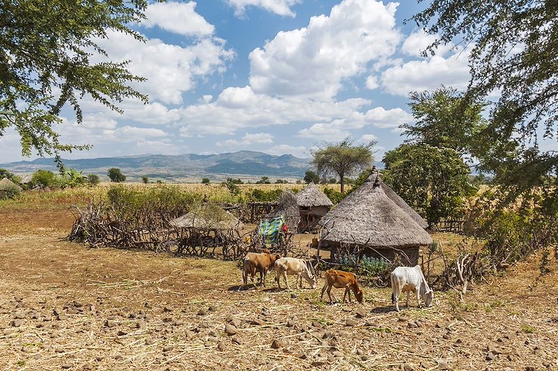 Trek en terre Omo et montagnes du Balé ! 