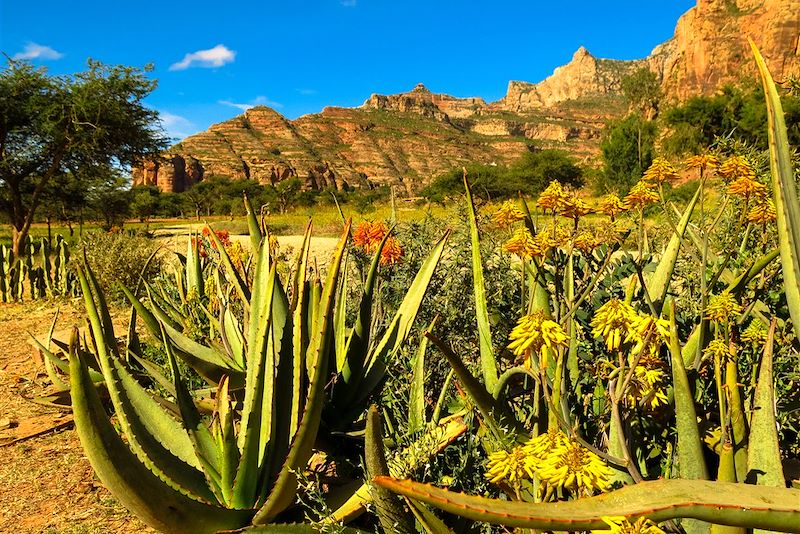 Massif du Gheralta dans la Région du Tigré - Ethiopie