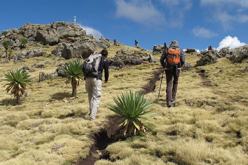Grande traversée du Tigré et du Simien !