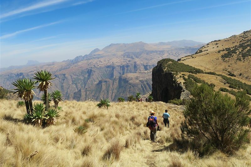Randonnée entre Geesh et Imet Gogo - Parc national du Simien - Éthiopie