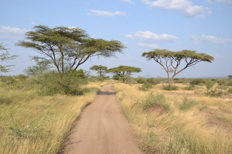 Parc d'Awash - Ethiopie