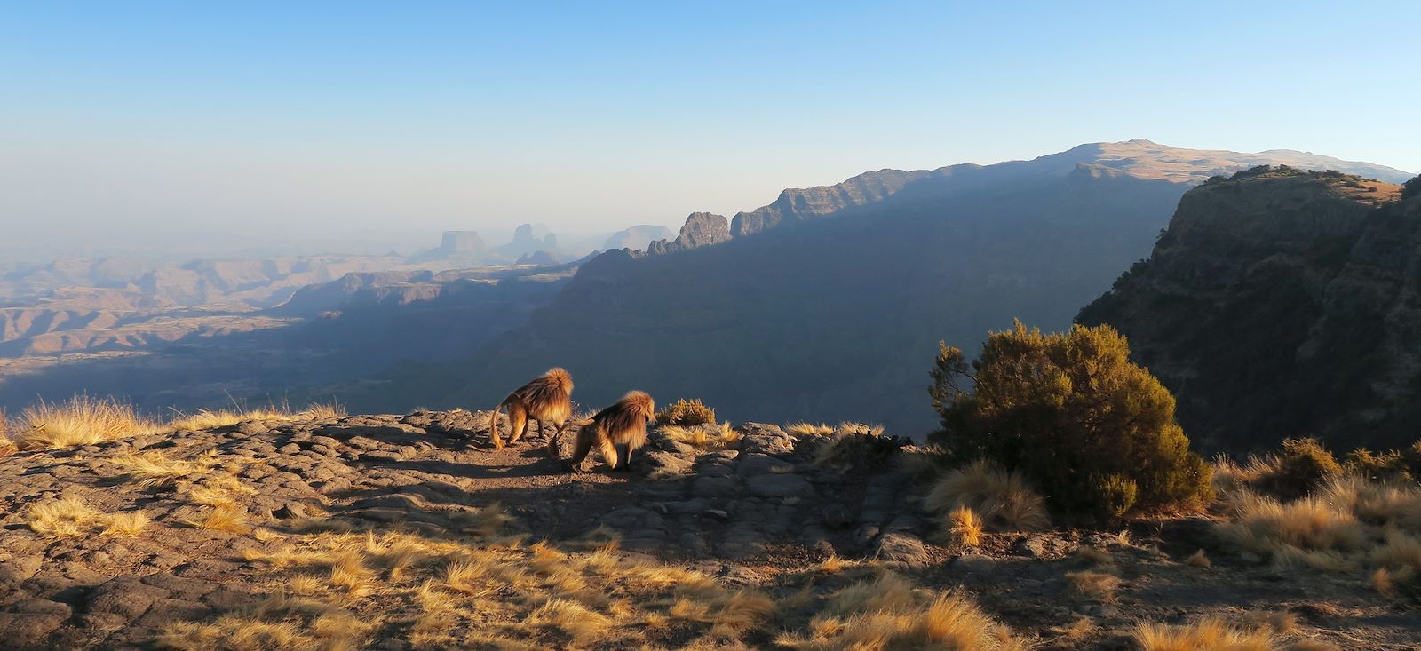 Trek - Trek hauts plateaux d\'Abyssinie !
