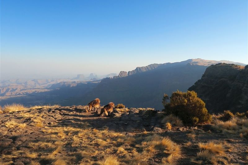 Trek hauts plateaux d'Abyssinie !