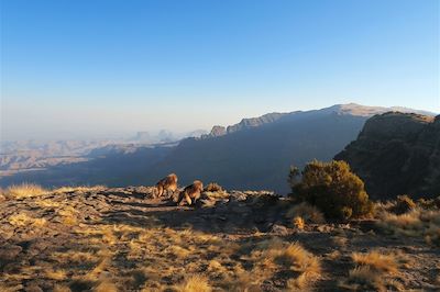 voyage Trek hauts plateaux d'Abyssinie !