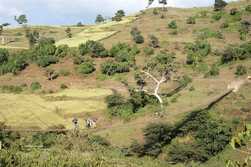 Bahar Dar - Région Amhara - Ethiopie