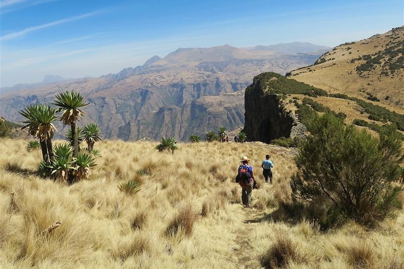 Randonnée entre Geesh et Imet Gogo - Parc national du Simien - Éthiopie