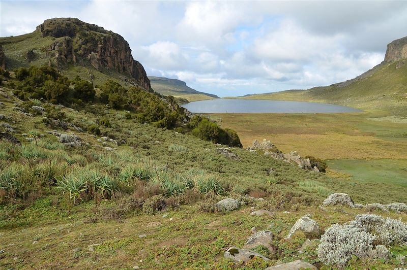 Paysage du Parc National de Balé - Éthiopie