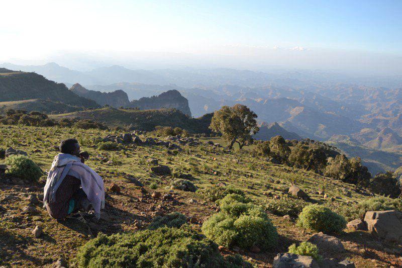 Grande randonnée dans le massif du Simien