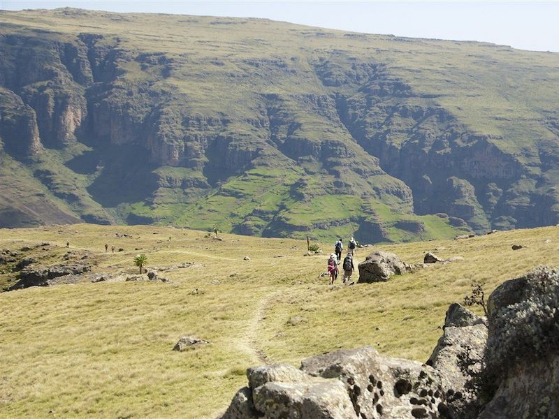 Parc National du Simien - Monts Simien - Région Amhara - Éthiopie 
