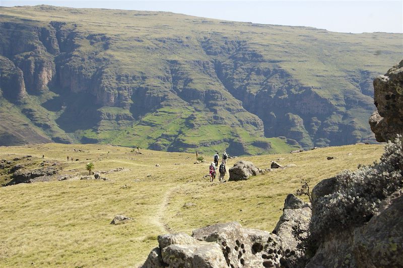 Parc National du Simien - Monts Simien - Région Amhara - Éthiopie 