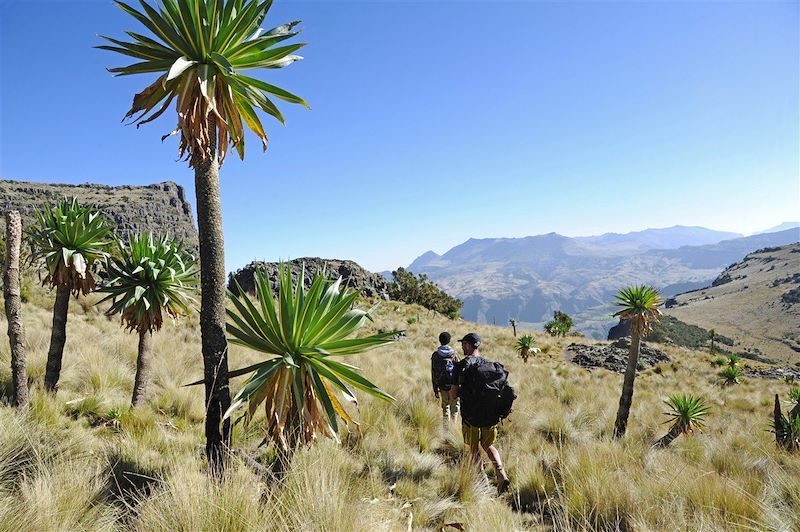 Randonnée dans le Parc National du Simien - Éthiopie