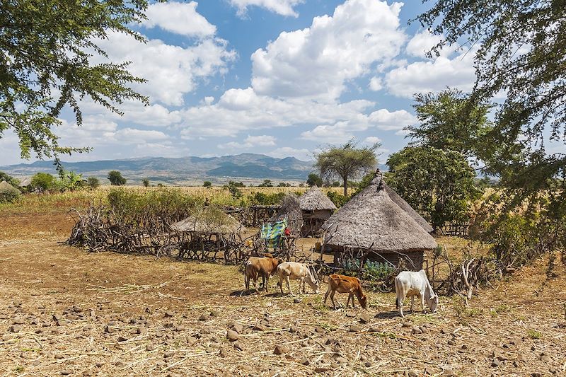 Trek en territoire surma et chakchako !