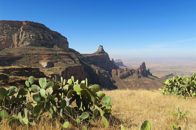 Volcan Dallol, Lalibela et le Ghéralta (Tigré): concentré des lieux les plus spectaculaires de l'Ethiopie ! 