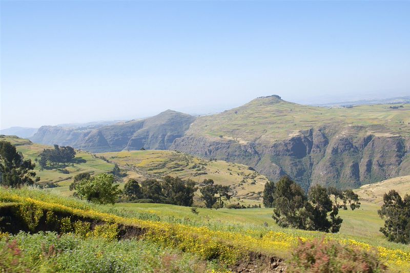 Parc National du Simien - Monts Simien - Région Amhara - Éthiopie 