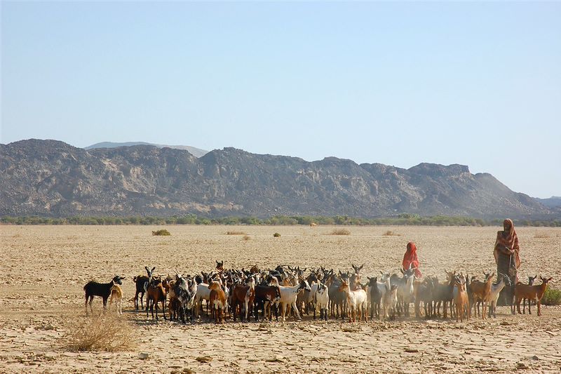 Désert du Danakil - Éthiopie