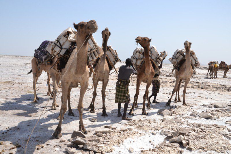 Dallol - Dépression Danakil - Ethiopie