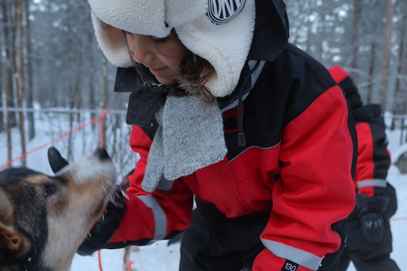 Traineau à chiens en famille - Laponie - Finlande 