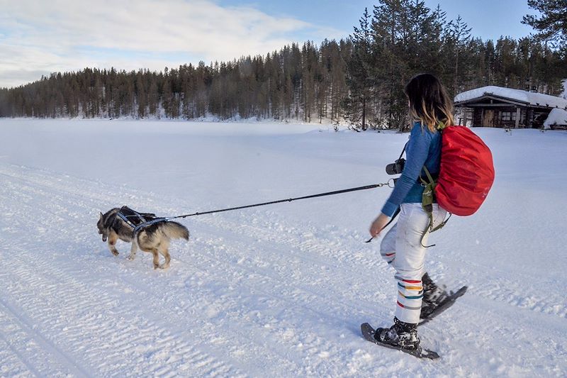 Cani-rando dans le parc national de Hossa - Laponie - Finlande