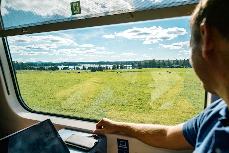Train en Finlande