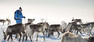voyage Finlande