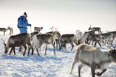 voyage Finlande
