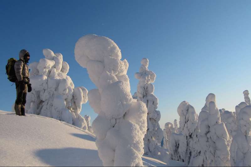 Aventure à raquette au coeur du parc naturel d’Hossa, dans l'immensité blanche de la Laponie 