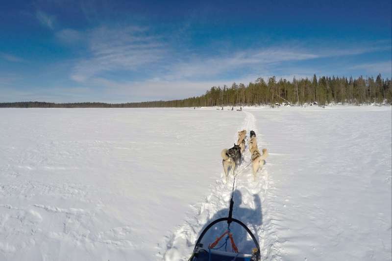 La Laponie, 100% nature