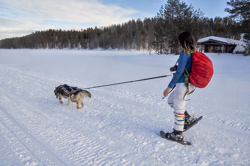 Cani-rando dans le parc national de Hossa - Laponie - Finlande