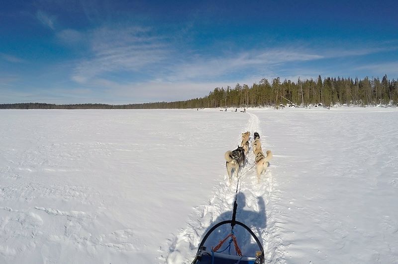 Raid en traîneau à chiens dans le parc national de Hossa - Laponie - Finlande