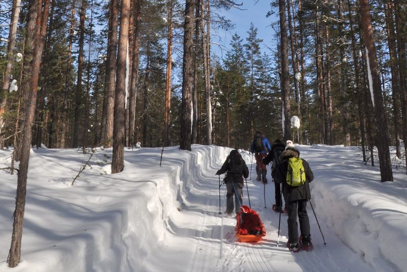 Raid en raquettes dans le parc national de Hossa - Laponie - Finlande